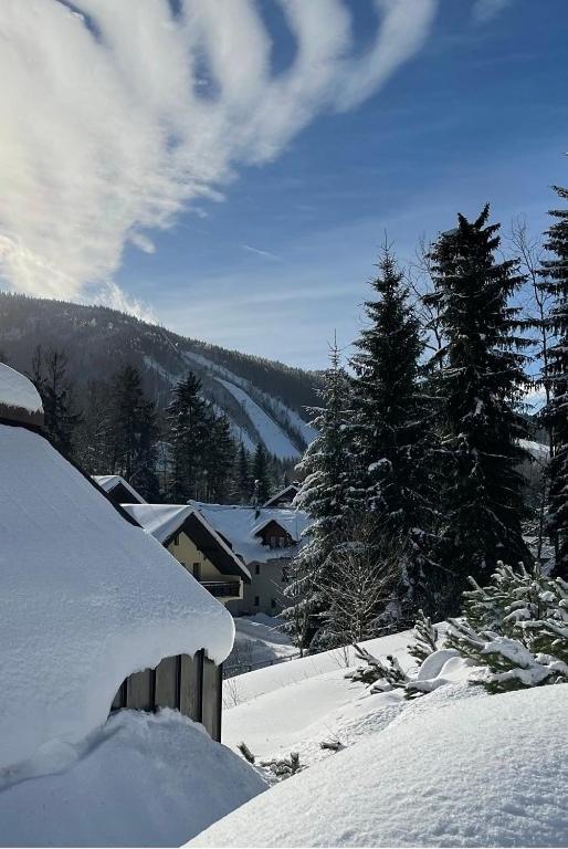 Garage Harrachov Apartment ภายนอก รูปภาพ